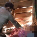Diduga Korban Pembunuhan, IRT Ditemukan Tewas di Rumahnya