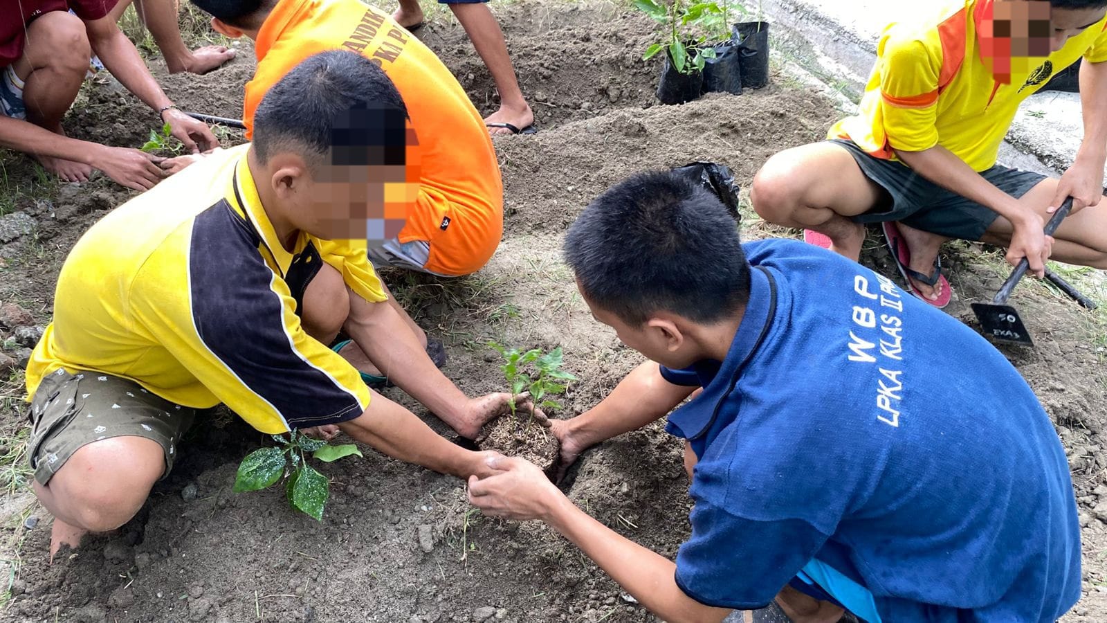 Bekal Masa Depan, Anak Binaan di LPKA Palu Dilatih Berkebun