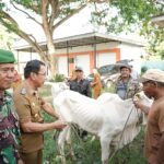 Bupati Sigi Serahkan Bantuan Sapi ke Kelompok Ternak di Kalukubula