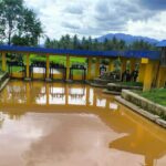 Air Irigasi di Bolano Lambunu Tercemar, Diduga Akibat Tambang Emas Ilegal