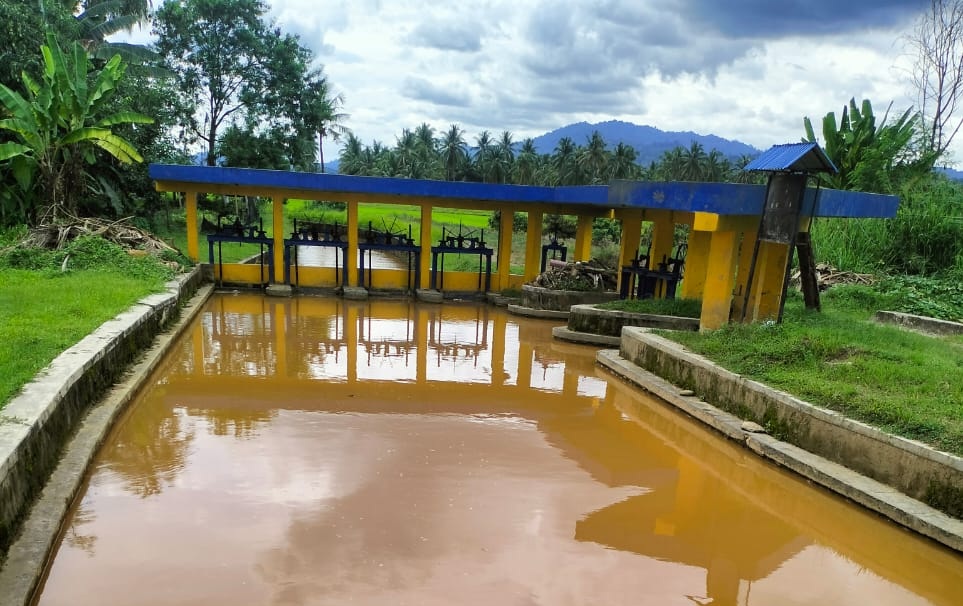 Air Irigasi di Bolano Lambunu Tercemar, Diduga Akibat Tambang Emas Ilegal