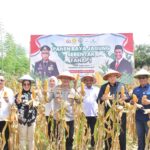 Wujudkan Asta Cita Presiden, Kapolda Sulteng Pimpin Panen Raya Jagung Serentak