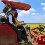 Bulog Lakukan Aksi Nyata, Jemput Gabah Petani dengan Harga Rp 6500