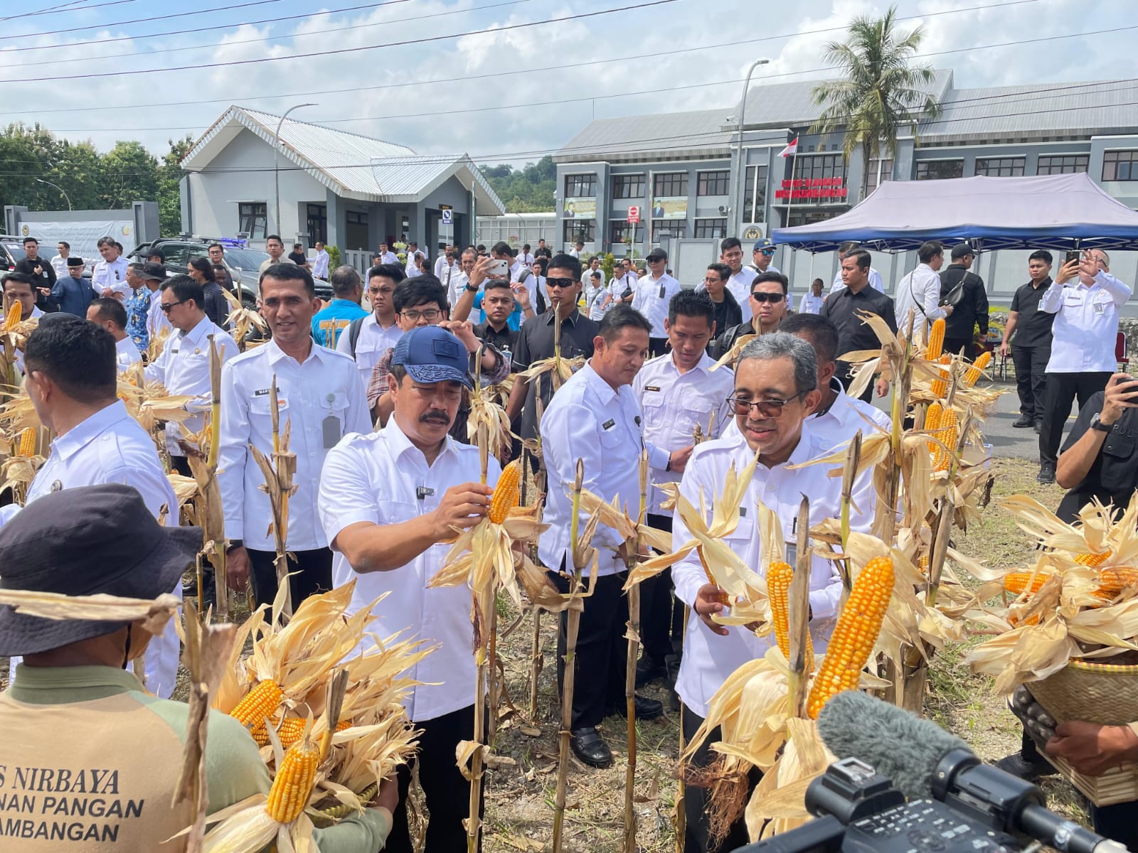 Panen Perdana di Nusakambangan, Menteri Imipas: Sumbang Kebutuhan Lapas