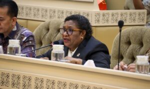 Ribka Haluk Jelaskan Upaya Kemendagri Awasi Pengelolaan Keuangan Daerah ke DPR RI