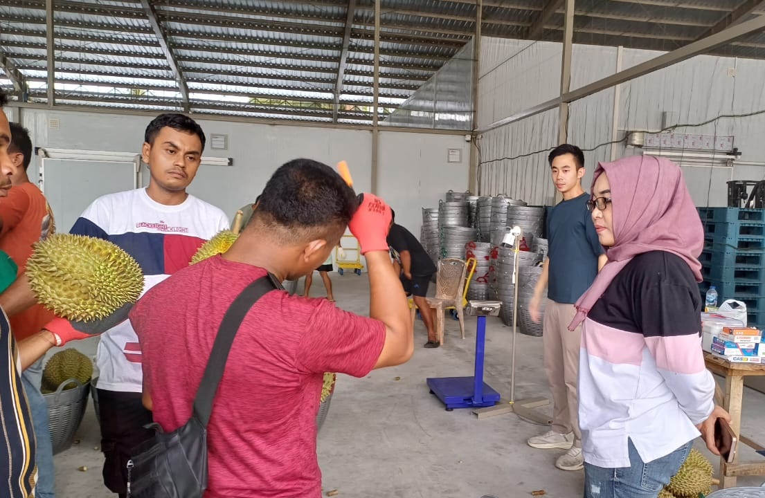Kadin Parimo Dorong Balai Karantina Percepat Teken Protokol Ekspor Durian