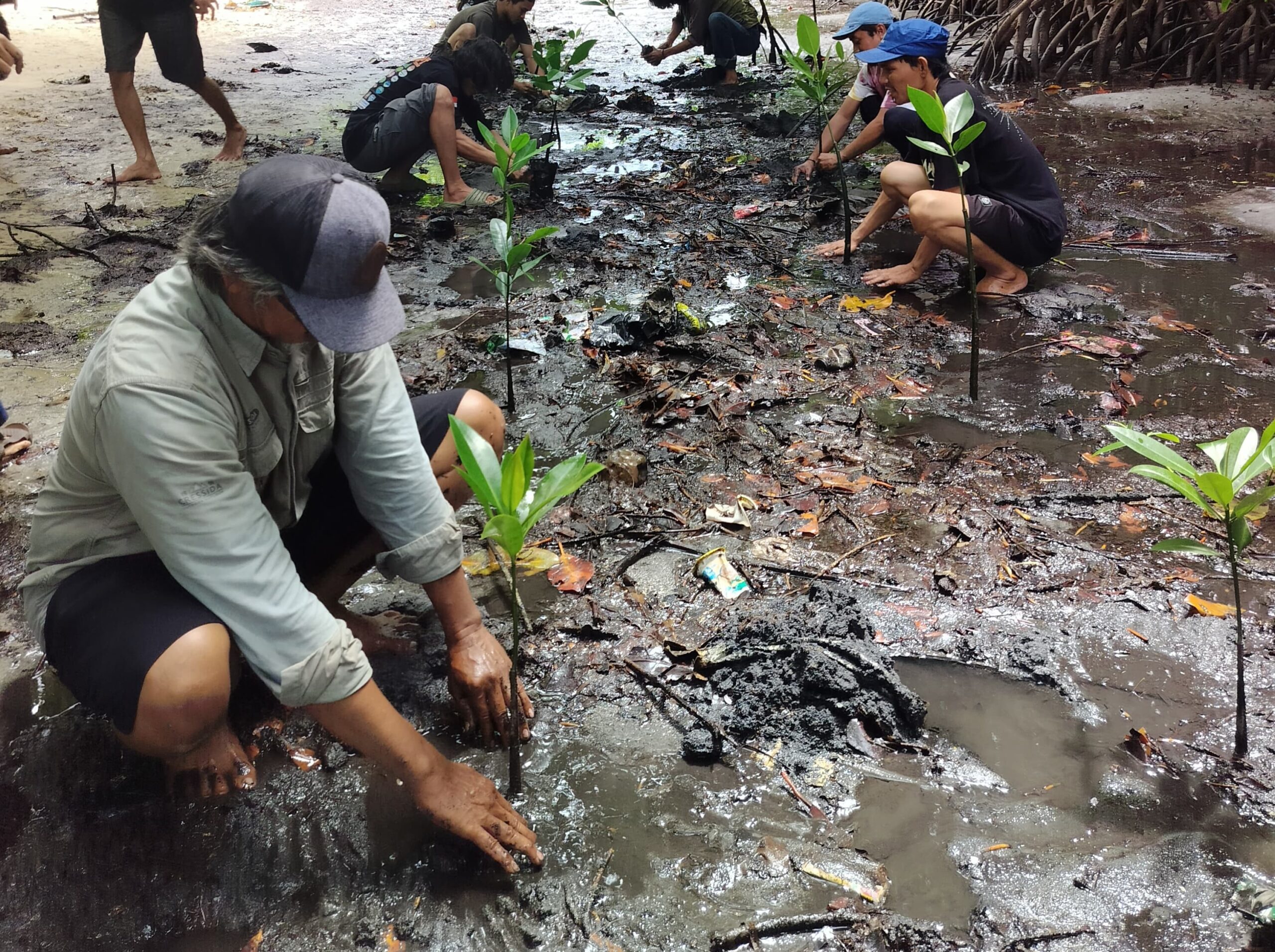 FKPAPT Parimo Tanam 1.000 Bibit Mangrove: Aksi Nyata Pulihkan Ekosistem Teluk Tomini