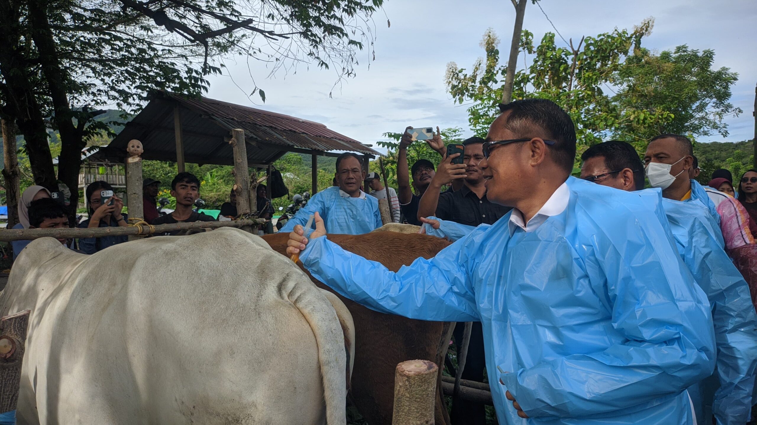 Sigi Siap Jadi Lumbung Daging, Wabup Samuel Tinjau Kesehatan Ternak di Bora
