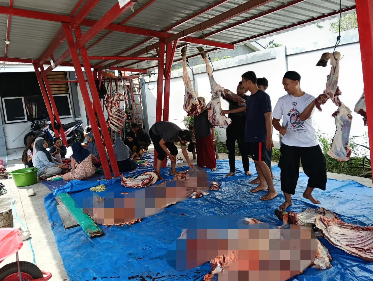 BRIDA Sulteng Salurkan 480 Paket Daging Kurban di Hari Raya Idul Adha