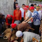 Gema Masyarakat Kulawi Raya, Simbol Budaya dan Pembangunan