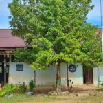 Bangunan Rusak Parah, Siswa dan Guru SDN Kuala Bugis Takut Masuk Kelas