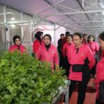 P2L Satbrimob Sulteng Wujud Nyata Kepemimpinan Bhayangkari dalam Ketahanan Pangan