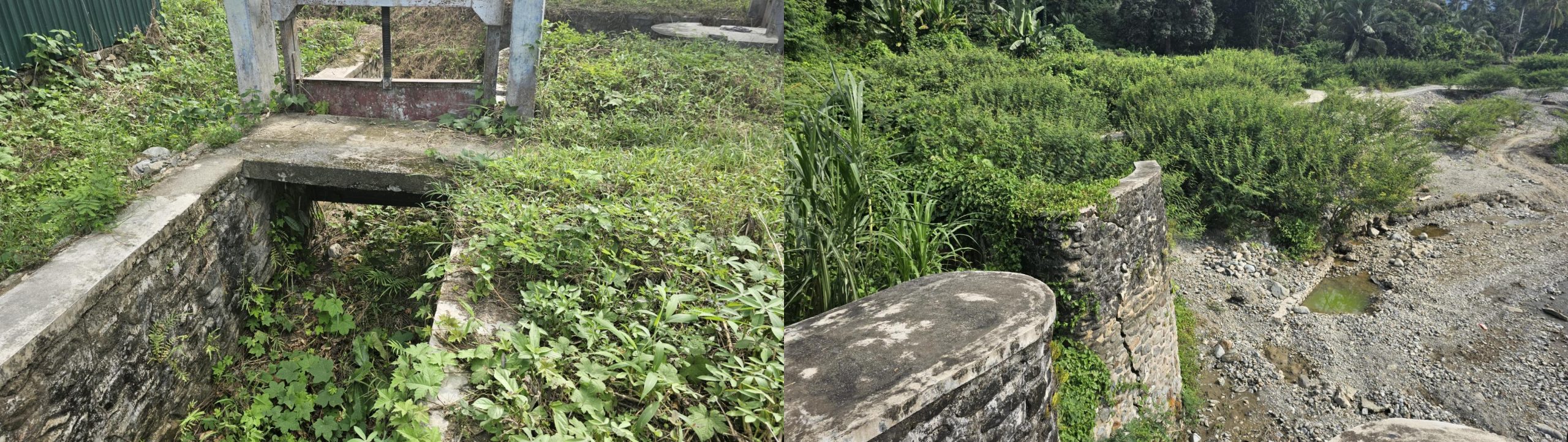 Irigasi Tombi Jebol, Petani Ampibabo Tak Bisa Lagi Bertani