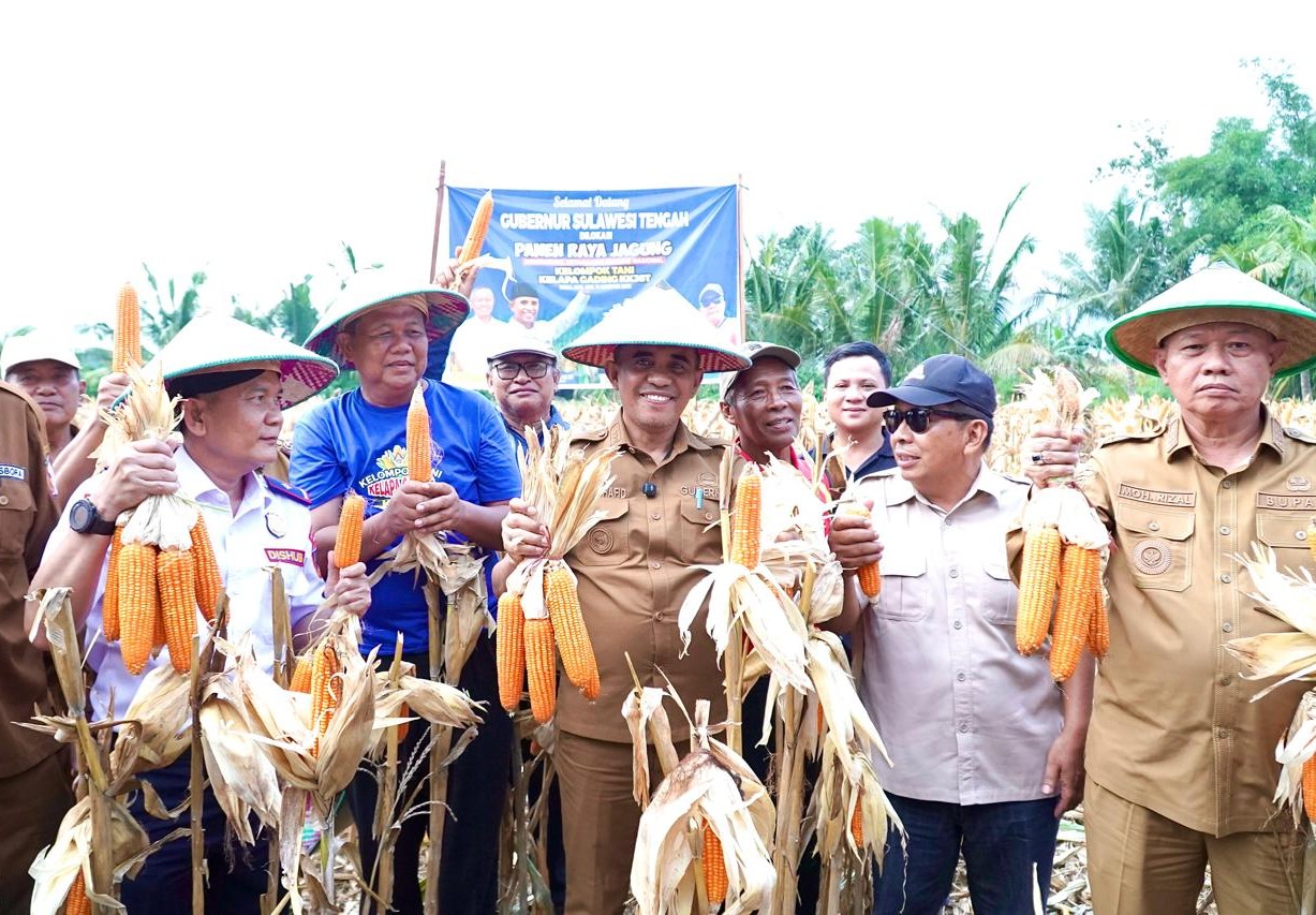 Sigi Siapkan 52 Hektare Lahan Tambahan untuk Tanam Jagung