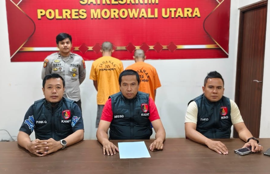 Polres Morut Ungkap Modus Pencurian Ternak, 15 Sapi Jadi Sasaran