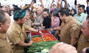 Mendagri Dorong Pemda Aktif Kendalikan Harga Pangan