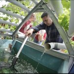 Urban Farming Makassar: Gerakan Kolektif Bangun Budaya Kota Mandiri Pangan