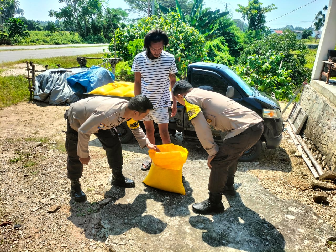 Petani Desa Lebo Siap Pasok Jagung ke Bulog, Polsek Parigi Dampingi Panen