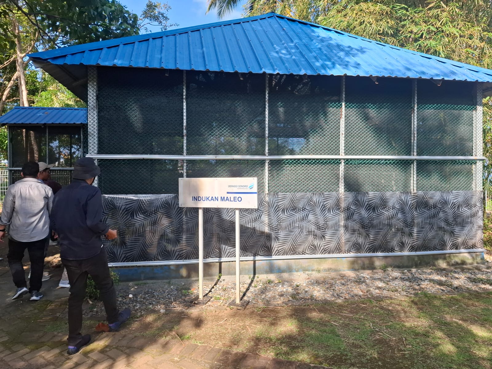 Melihat dari Dekat Upaya DSLNG Melestarikan Burung Maleo di Banggai