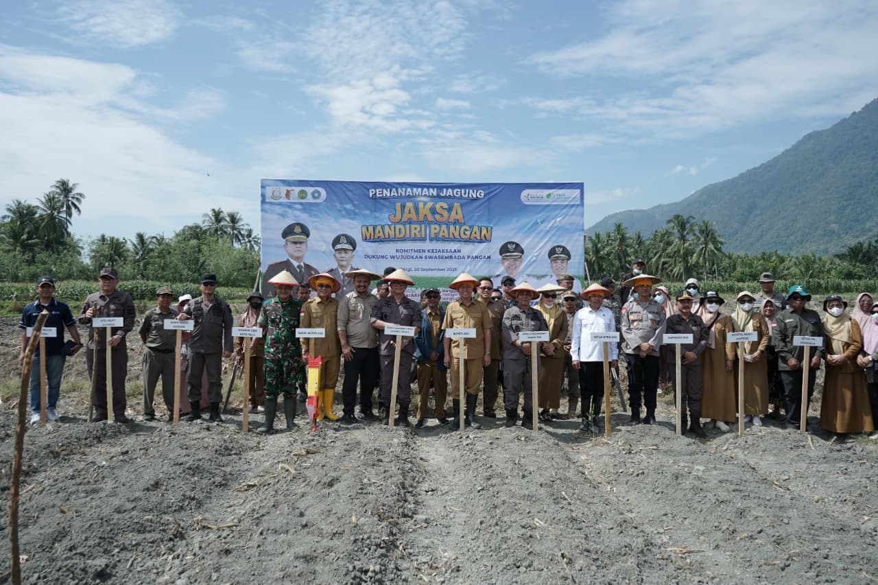 Kejati Sulteng-Pemda Sigi Tanam Jagung untuk Perkuat Ketahanan Pangan