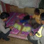 Buaya Gigit Pelajar 13 Tahun di Laut, Korban Dilarikan ke RS