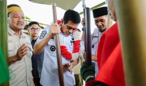 Antisipasi Penumpukan Gabah, Bupati Parimo Minta Bulog Segera Serap Hasil Panen Petani Antisipasi Penumpukan Gabah, Bupati Parimo Minta Bulog Segera Serap Hasil Panen Petani