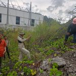 Satgas PKA Desak PT Poso Energy Segera Perbaiki 25 Rumah Warga yang Retak