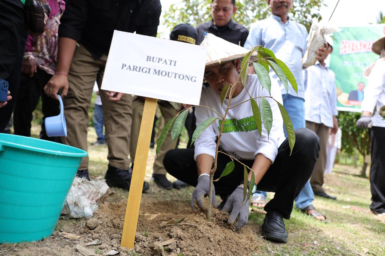 Bupati Erwin: Durian Parimo Terbaik di Indonesia, Potensi Ekspor Harus Dimaksimalkan