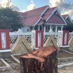 Pohon Peneduh di Depan Rujab Gubernur Sulteng Ditebang, Anwar Hafid Murka