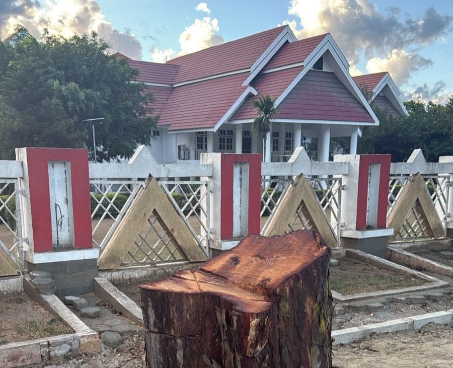 Pohon Peneduh di Depan Rujab Gubernur Sulteng Ditebang, Anwar Hafid Murka