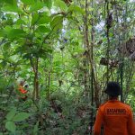 Medan Sulit Hambat Pencarian Lansia Hilang di Banggai, SAR Tetap Lanjutkan Operasi