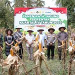 Panen Raya Jagung Kuartal IV-2025, Polres Parimo Targetkan 40 Ton dari 15 Hektare Lahan