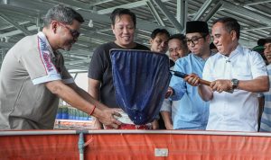 Budidaya Ikan Jadi Motor Lapangan Kerja Baru di Sulawesi Tengah