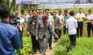 Panen Raya di Lapas Makassar, Kemenimipas Dorong Kemandirian Warga Binaan