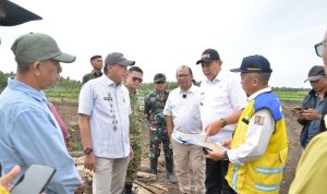 Progres Cetak Sawah Lambat, Gusnar Dorong Penambahan Alat Berat di Randangan Progres Cetak Sawah Lambat, Gusnar Dorong Penambahan Alat Berat di Randangan