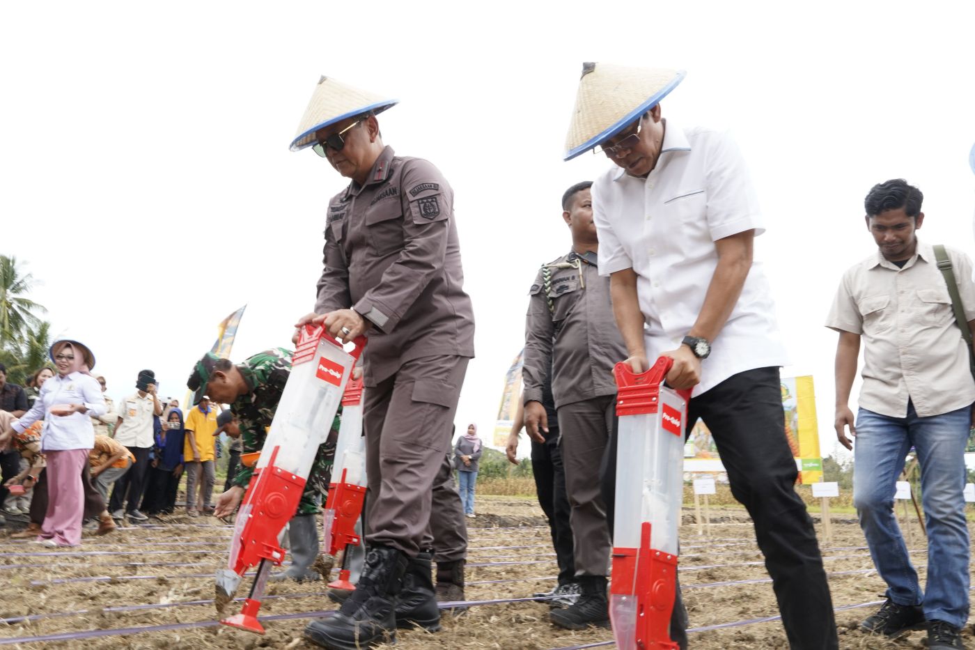 Kejati Sulteng Dukung Pembangunan Ekonomi melalui Program Jaksa Mandiri Pangan