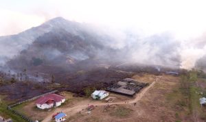 Catat 22 Kejadian Karhutla, Pemda Parimo Tetapkan Status Siaga Darurat