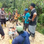 Tertimpa Pohon Saat Menebang di Kebun, Petani Tolai Barat Meninggal Dunia