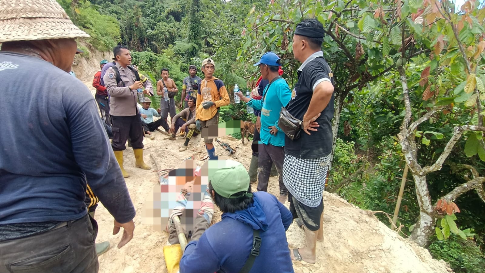 Tertimpa Pohon Saat Menebang di Kebun, Petani Tolai Barat Meninggal Dunia