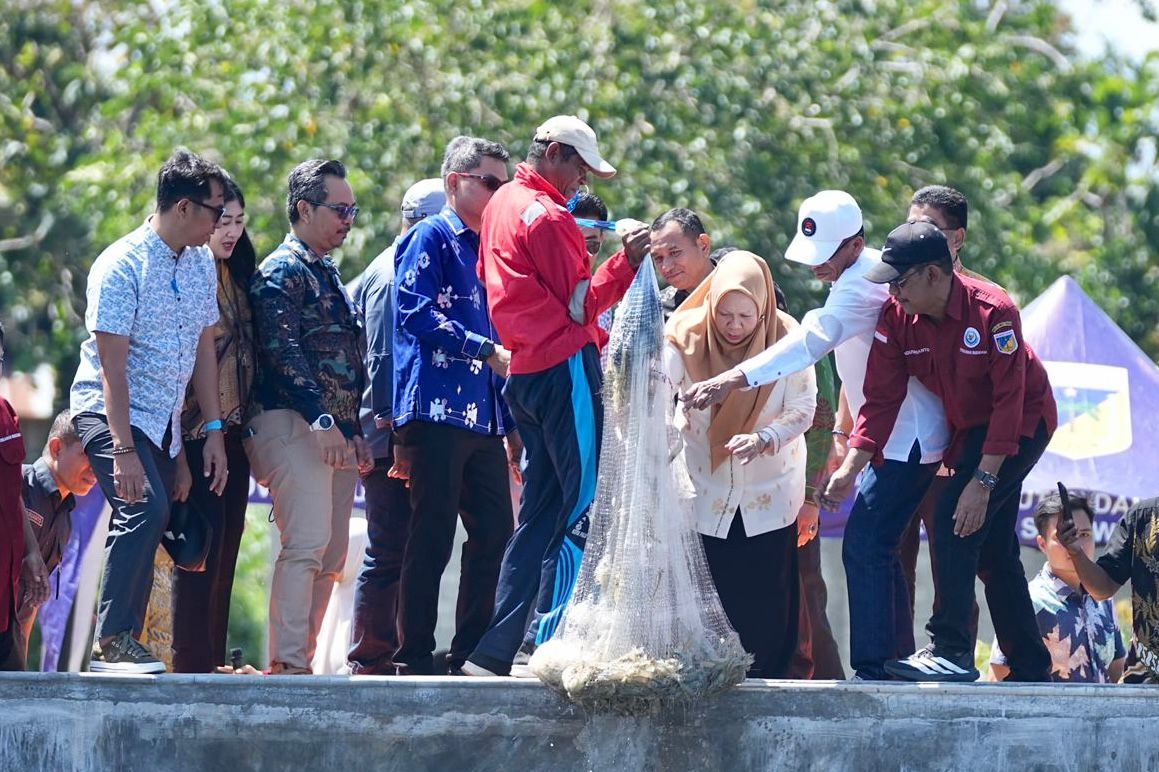 Wagub Reny: Budidaya Vaname Berpeluang Besar Tingkatkan Kesejahteraan Nelayan