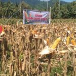 Dinas TPHP Parimo Akan Salurkan Benih Jagung 33,84 Ton untuk 2.256 Hektare