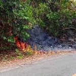 Puntung Rokok Diduga Picu Karhutla di Bondoyong, Satu Hektare Lahan Terbakar