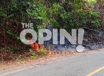 Puntung Rokok Diduga Picu Karhutla di Bondoyong, Satu Hektare Lahan Terbakar