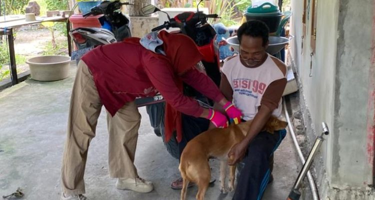 Menuju Bebas Rabies, DISPKH Parimo Genjot Vaksinasi dan Gandeng JAAN Kesehatan Hewan