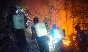 Tim Gabungan Padamkan Karhutla 2,5 Hektare di Labuan Donggulu