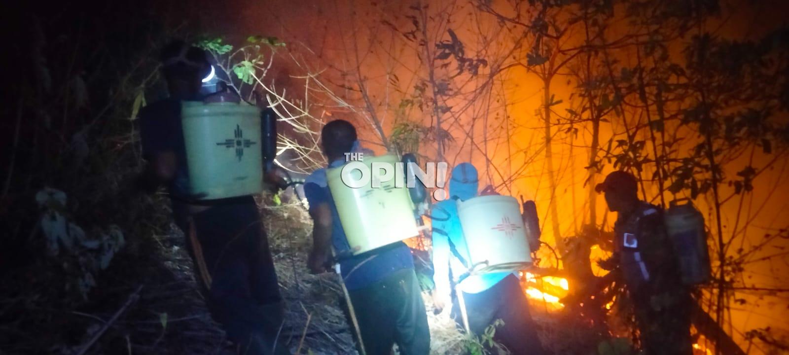 Tim Gabungan Padamkan Karhutla 2,5 Hektare di Labuan Donggulu