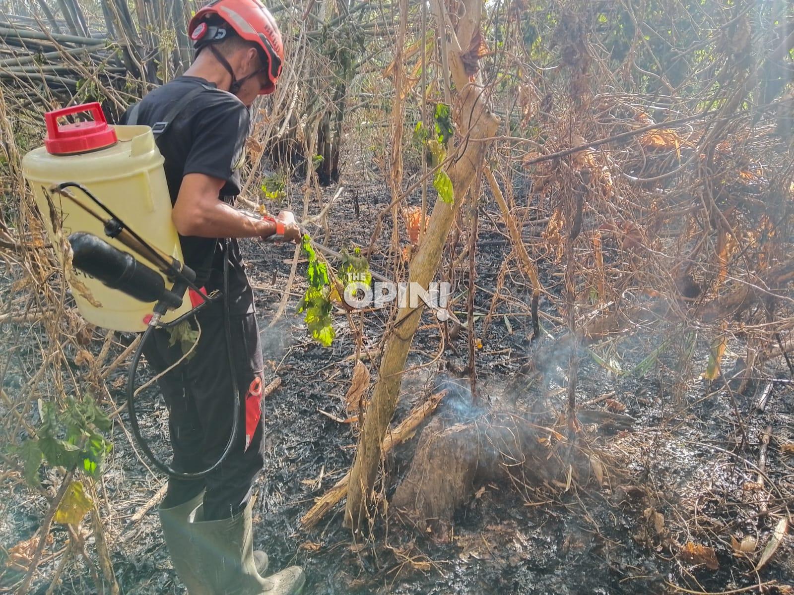Tiga Titik Karhutla Terjadi Sehari di Parimo, Dua Hektare Lebih Lahan Terbakar