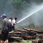 Karhutla Terjadi di Baliara, BPBD Parimo Sebut Api Berhasil Dipadamkan
