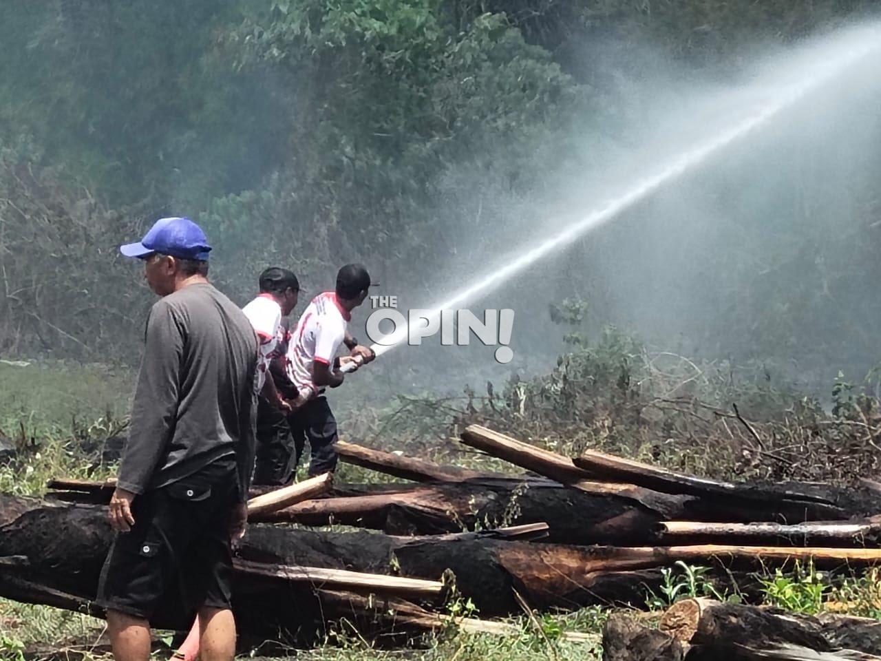 Karhutla Terjadi di Baliara, BPBD Parimo Sebut Api Berhasil Dipadamkan