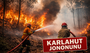 Karhutla Terjadi di Jononunu Parimo, Api Belum Berhasil Dipadamkan Karhutla Terjadi di Jononunu Parimo, Api Belum Berhasil Dipadamkan